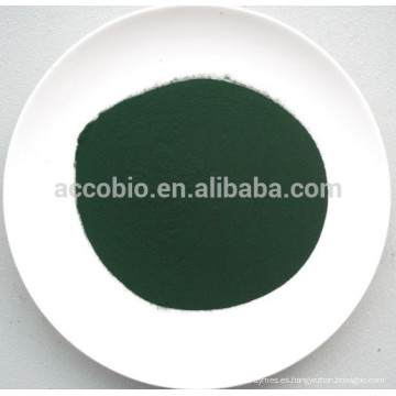 El polvo de proteína orgánico de la mejor calidad Spirulina el 60% CAS NO.724424-92-4